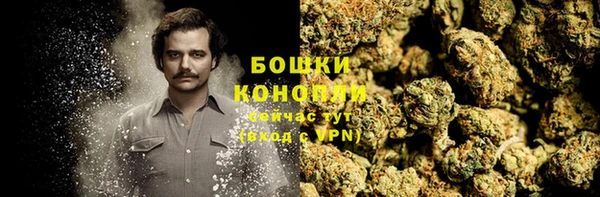 СК Богородицк