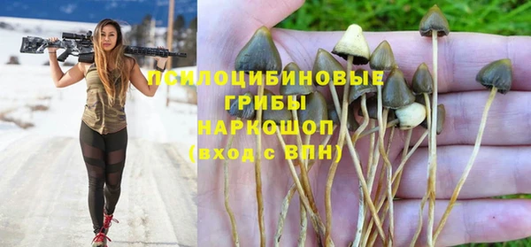 первитин Богородск