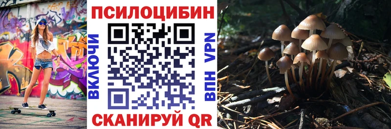 сколько стоит  Сретенск  Галлюциногенные грибы GOLDEN TEACHER 